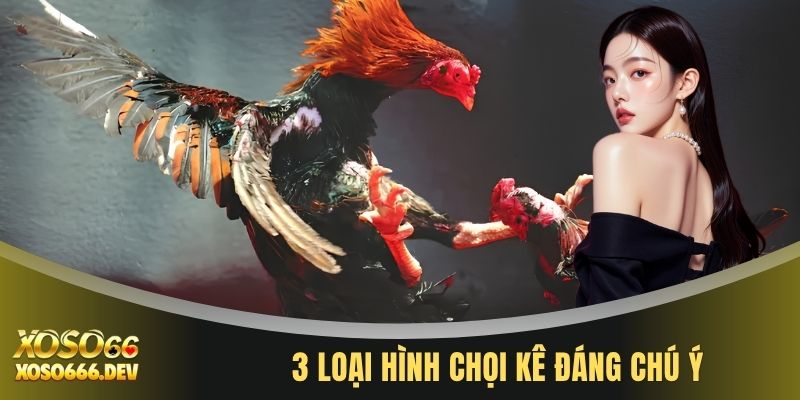 3 loại hình chọi kê đáng chú ý