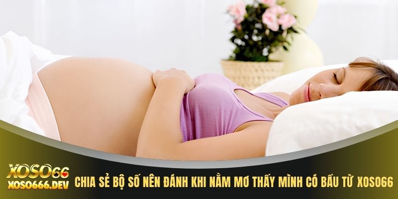 Chia sẻ bộ lô đề nên đánh khi nằm mơ thấy mình có bầu từ XOSO66