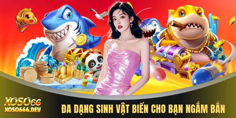 Đa dạng sinh vật biển cho bạn ngắm bắn