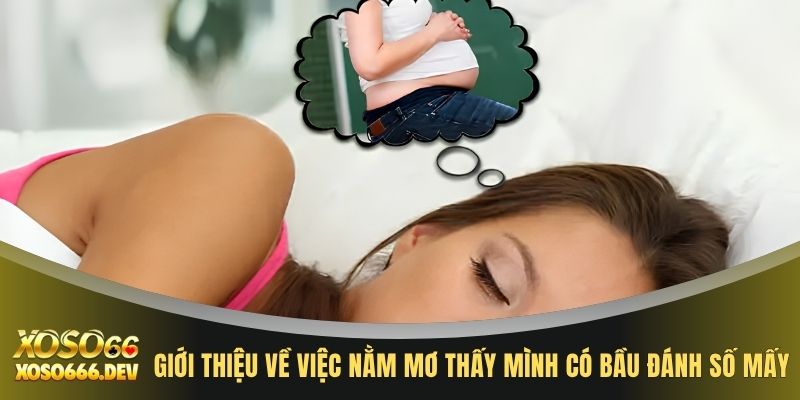 Giới thiệu về việc nằm mơ thấy mình có bầu đánh số mấy