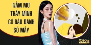 Nằm Mơ Thấy Mình Có Bầu Đánh Số Mấy Để Thắng Lớn Hiện Nay